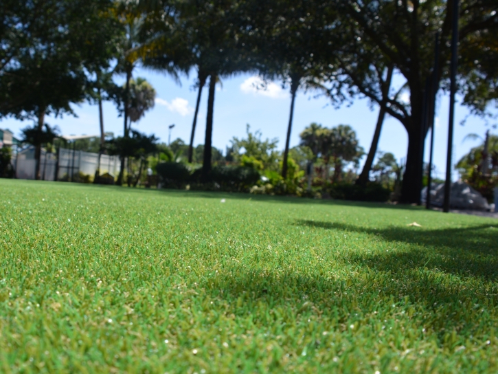 Fake Turf Moscow, Tennessee Backyard Playground, Parks