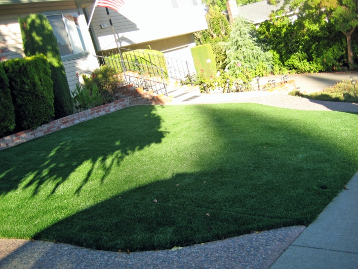 Fake Turf Portland, Tennessee Landscape Ideas, Front Yard Design