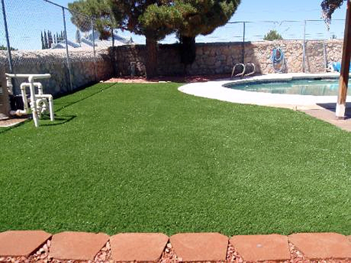 Fake Turf Sardis, Tennessee Lawns, Pool Designs