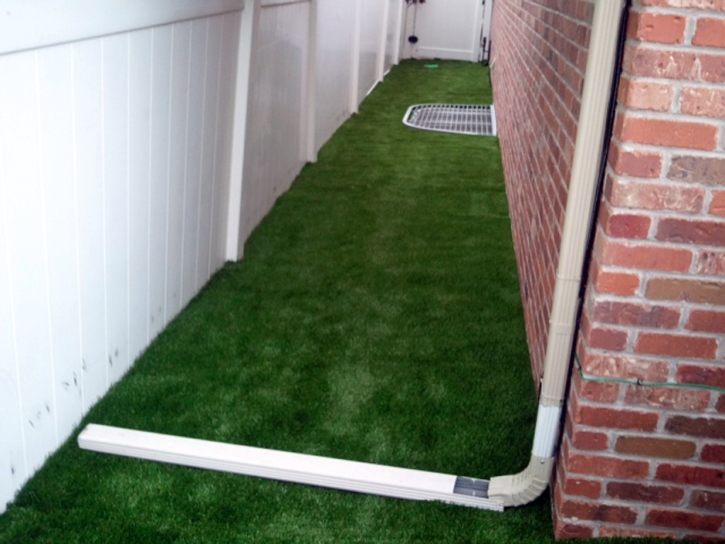 Fake Turf White House, Tennessee Garden Ideas, Backyard Landscaping