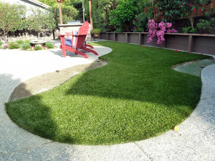 Faux Grass Andersonville, Tennessee Dog Hospital, Backyard Landscape Ideas