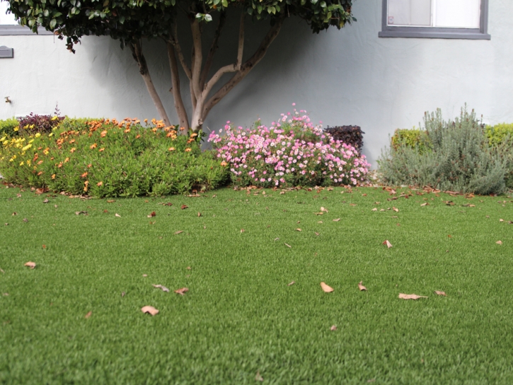 Faux Grass Gates, Tennessee Garden Ideas, Front Yard Design