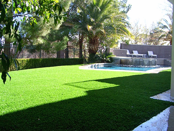 Faux Grass Louisville, Tennessee Paver Patio, Backyard Landscaping Ideas