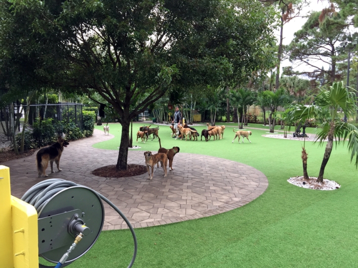 Faux Grass Midtown, Tennessee Backyard Playground, Commercial Landscape