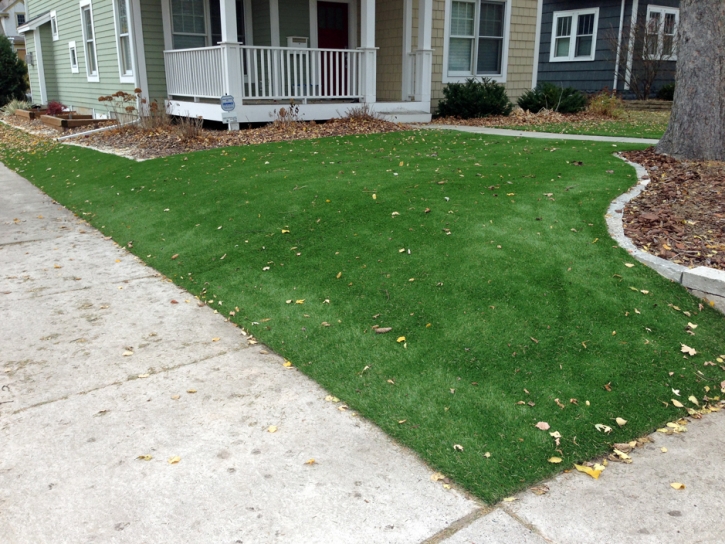 Faux Grass Watertown, Tennessee Landscape Photos, Front Yard Landscape Ideas