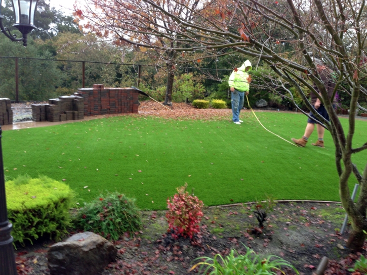 Faux Grass Wrigley, Tennessee Landscape Ideas, Backyards