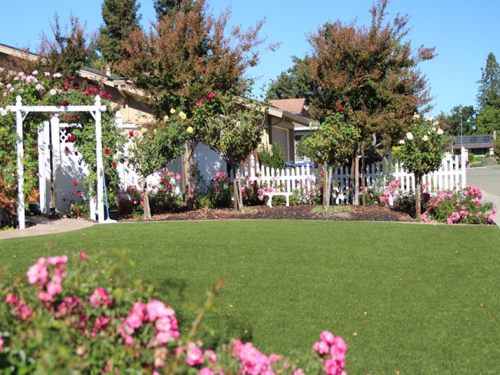 Grass Carpet Liberty, Tennessee Backyard Deck Ideas, Front Yard Design