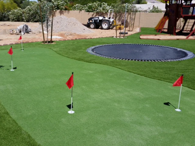 Grass Carpet Millington, Tennessee Putting Green Flags, Backyard Landscaping