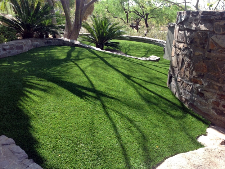 Grass Carpet White Bluff, Tennessee Dog Hospital