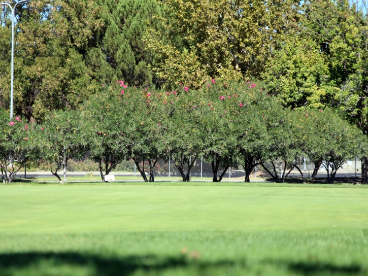 Grass Turf Surgoinsville, Tennessee Lawn And Landscape
