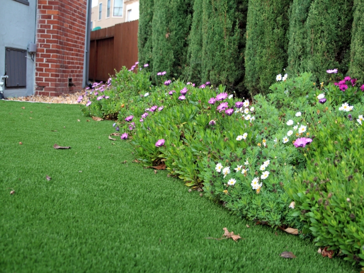 Grass Turf Wartburg, Tennessee Landscaping, Front Yard