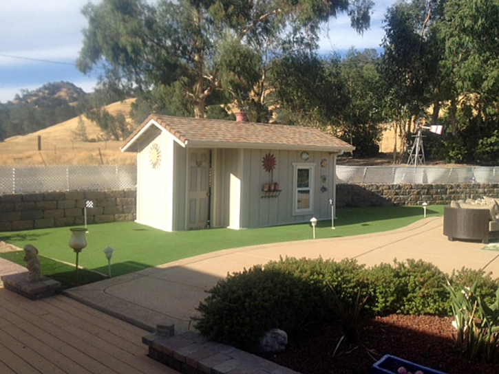 Green Lawn Bethpage, Tennessee Indoor Putting Greens, Commercial Landscape