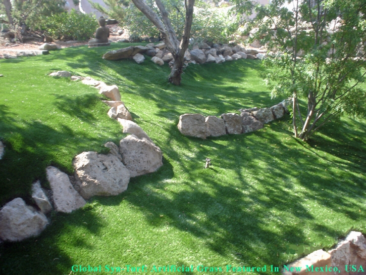 How To Install Artificial Grass Brentwood Estates, Tennessee Rooftop, Pavers