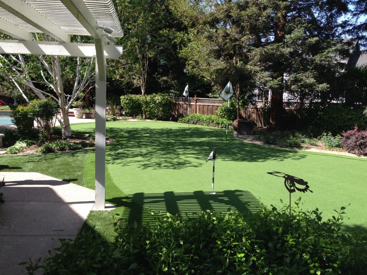 How To Install Artificial Grass Luttrell, Tennessee City Landscape