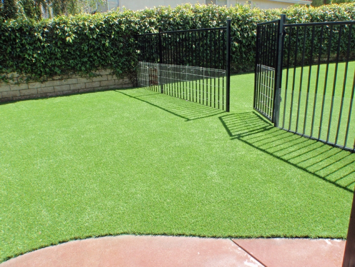 How To Install Artificial Grass South Cleveland, Tennessee Landscape Rock, Front Yard