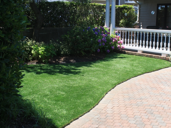 Installing Artificial Grass Castalian Springs, Tennessee Landscape Photos, Front Yard Landscape Ideas