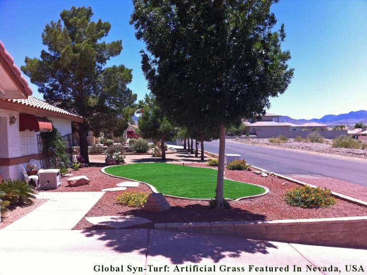 Outdoor Carpet Belle Meade, Tennessee Garden Ideas, Small Front Yard Landscaping