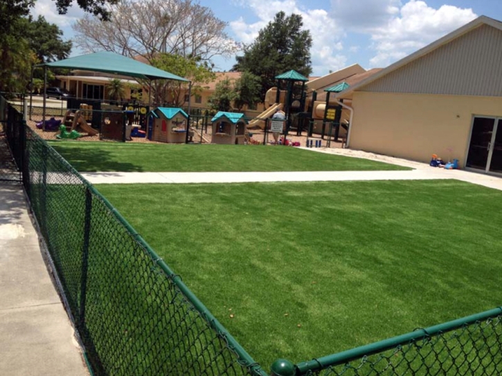 Outdoor Carpet Jamestown, Tennessee Landscape Ideas, Commercial Landscape