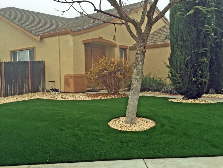 Outdoor Carpet Ridgely, Tennessee Lawns, Front Yard Ideas