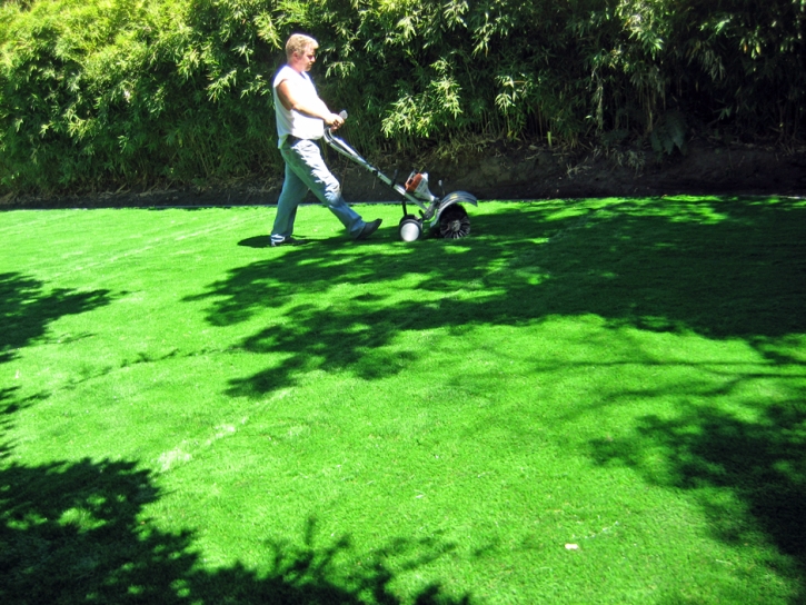 Plastic Grass Adams, Tennessee City Landscape, Backyard Landscaping Ideas