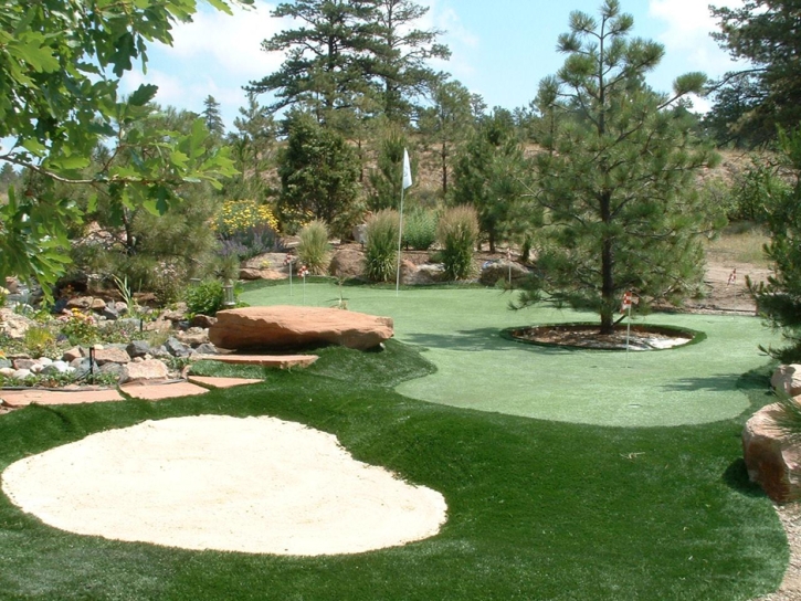 Plastic Grass Ducktown, Tennessee Golf Green, Backyard Landscaping Ideas