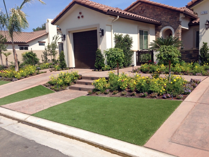 Plastic Grass La Vergne, Tennessee Landscape Design, Small Front Yard Landscaping