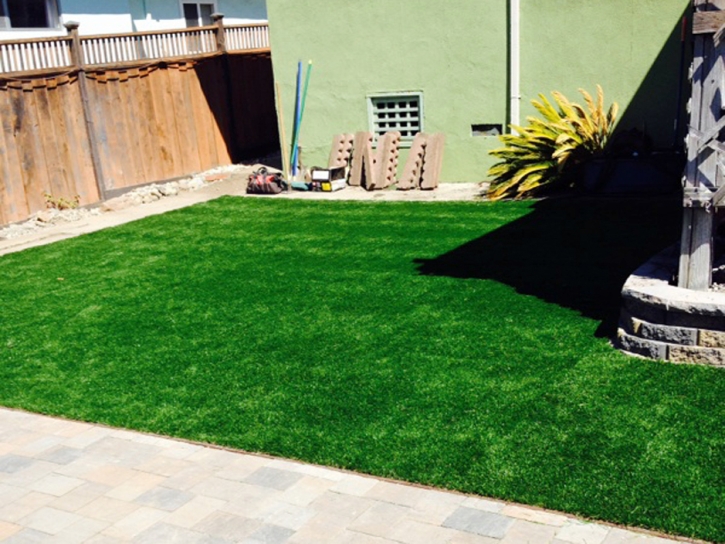 Plastic Grass Louisville, Tennessee Dog Pound, Small Backyard Ideas