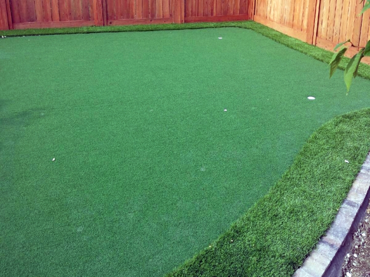 Synthetic Grass Collinwood, Tennessee How To Build A Putting Green, Small Backyard Ideas