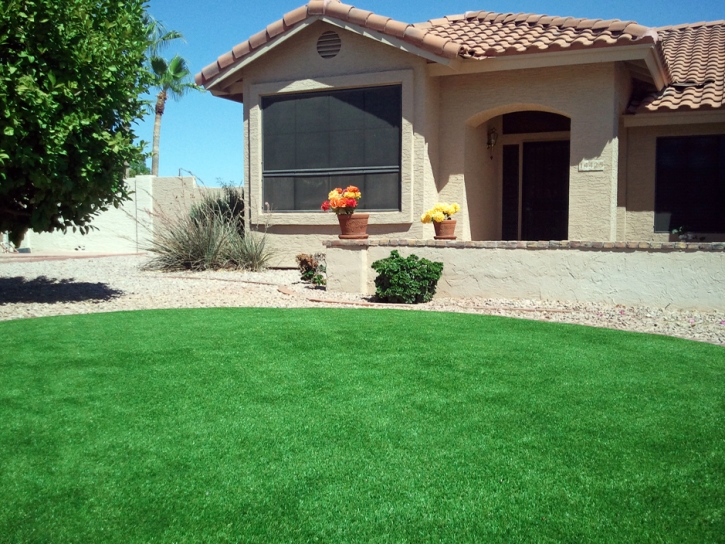 Synthetic Grass Cost South Carthage, Tennessee Rooftop, Front Yard Landscaping