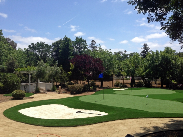 Synthetic Grass Cost Trezevant, Tennessee Putting Green Turf, Front Yard Landscape Ideas
