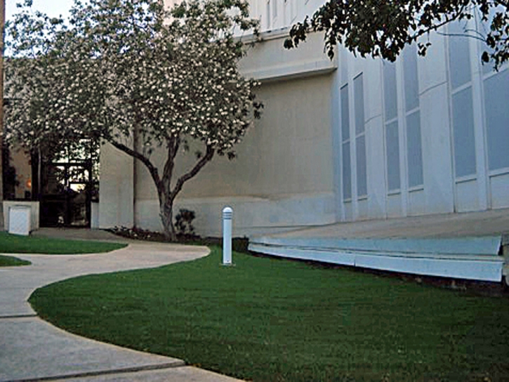 Synthetic Grass Fairview, Tennessee Lawn And Garden, Front Yard