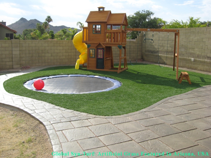 Synthetic Grass Pegram, Tennessee Indoor Playground, Backyard Landscaping Ideas