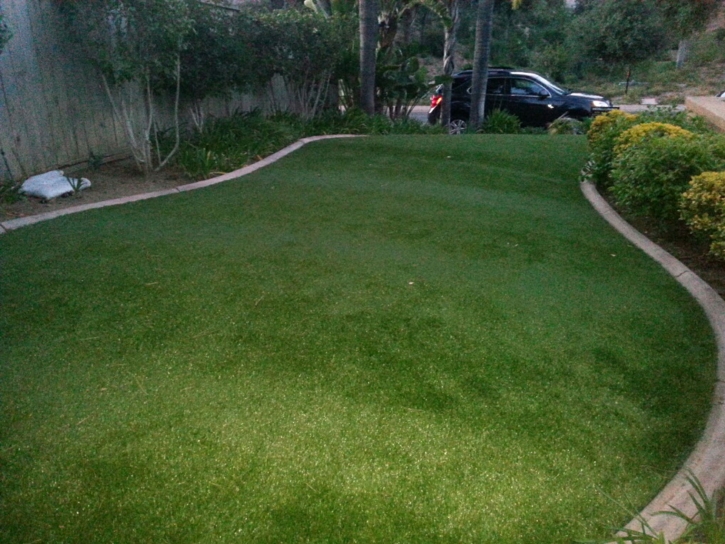Synthetic Grass Piperton, Tennessee Landscape Rock, Front Yard Landscaping Ideas