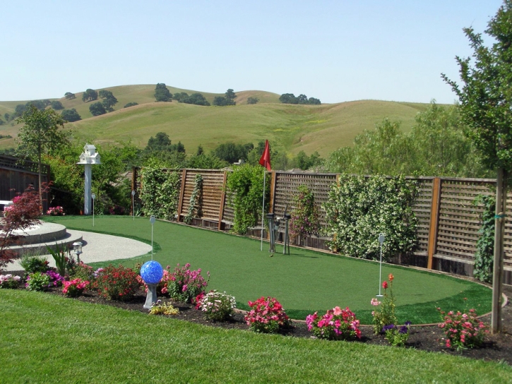Synthetic Lawn New Hope, Tennessee Diy Putting Green, Beautiful Backyards