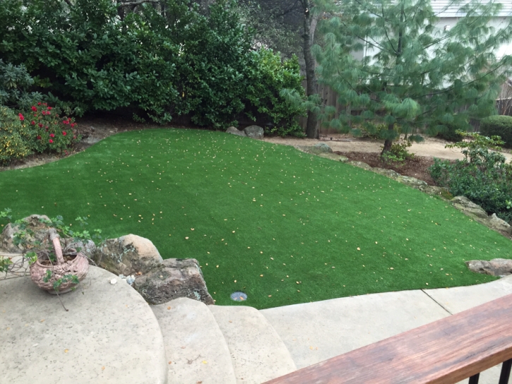 Synthetic Lawn Tellico Plains, Tennessee Landscaping Business, Backyard Designs