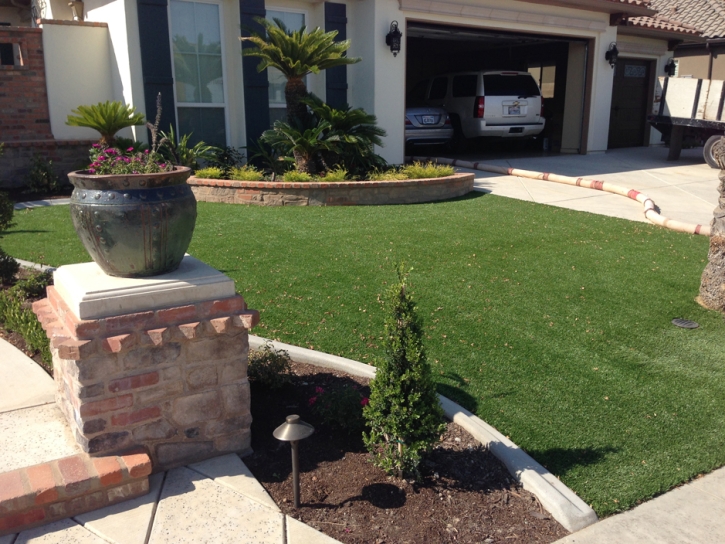 Synthetic Turf Belle Meade, Tennessee Design Ideas, Front Yard Ideas