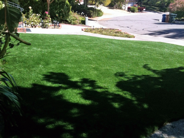 Synthetic Turf Chapel Hill, Tennessee Design Ideas, Front Yard Design