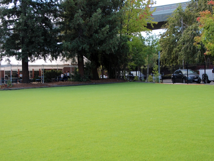 Synthetic Turf Greeneville, Tennessee Lawns, Commercial Landscape