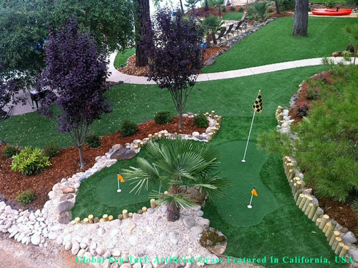 Synthetic Turf Nashville, Tennessee Putting Greens, Backyard Landscaping Ideas