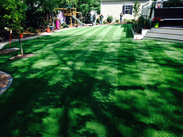 Synthetic Turf New Market, Tennessee Landscape Design, Small Backyard Ideas