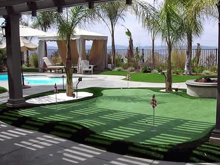 Synthetic Turf Ridgeside, Tennessee Landscape Photos, Backyard Designs