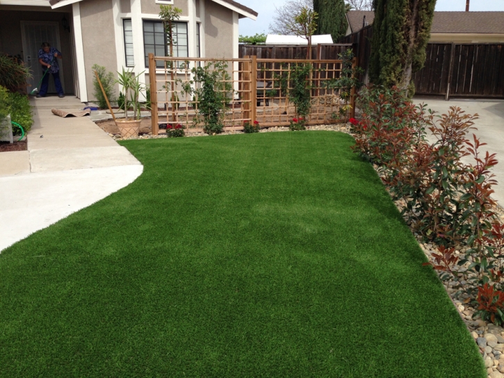 Synthetic Turf Somerville, Tennessee Landscape Ideas, Front Yard Design