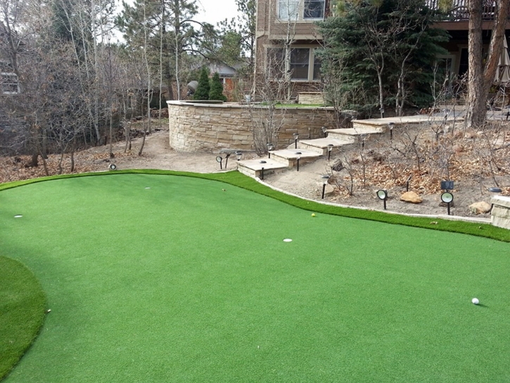 Synthetic Turf Supplier Helenwood, Tennessee Design Ideas, Backyard Landscape Ideas