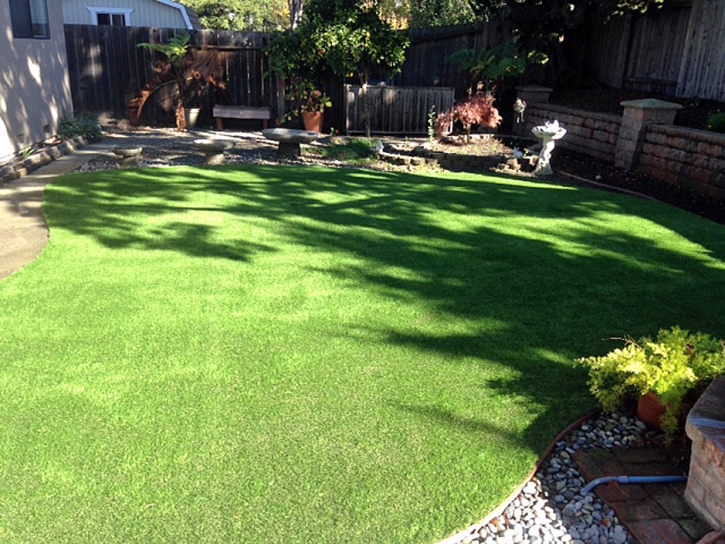 Synthetic Turf Supplier Hornbeak, Tennessee Hotel For Dogs, Small Backyard Ideas