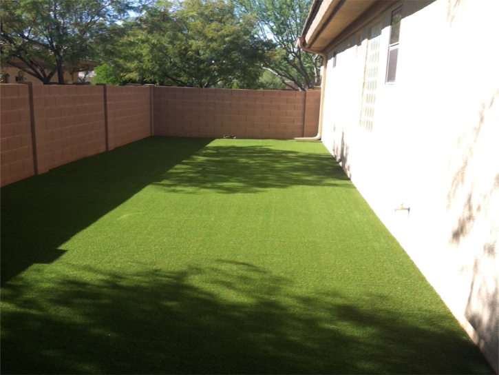 Synthetic Turf Supplier Orlinda, Tennessee Lawns, Small Front Yard Landscaping