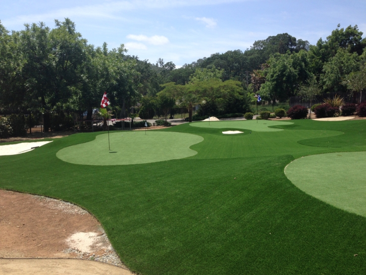 Synthetic Turf Supplier Powells Crossroads, Tennessee Rooftop, Landscaping Ideas For Front Yard