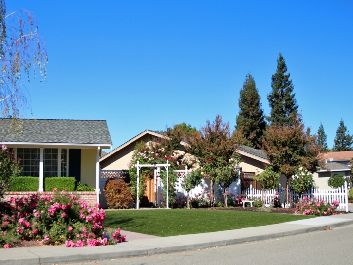 Synthetic Turf Supplier Shackle Island, Tennessee Landscape Photos, Front Yard Landscaping Ideas