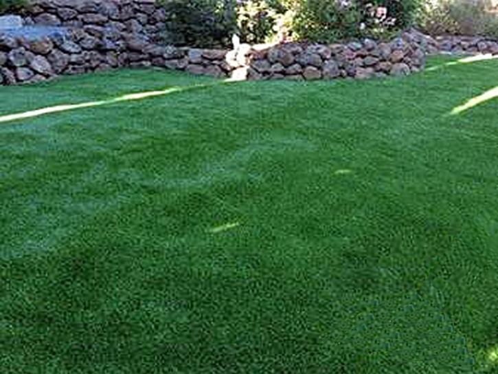 Synthetic Turf Vonore, Tennessee Lawns, Backyard Landscaping Ideas