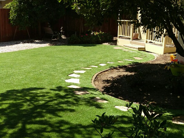 Turf Grass Dandridge, Tennessee Design Ideas, Backyard Design