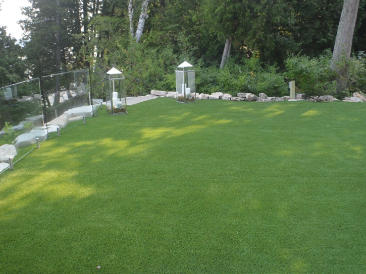 Turf Grass Pittman Center, Tennessee Landscape Photos, Backyard